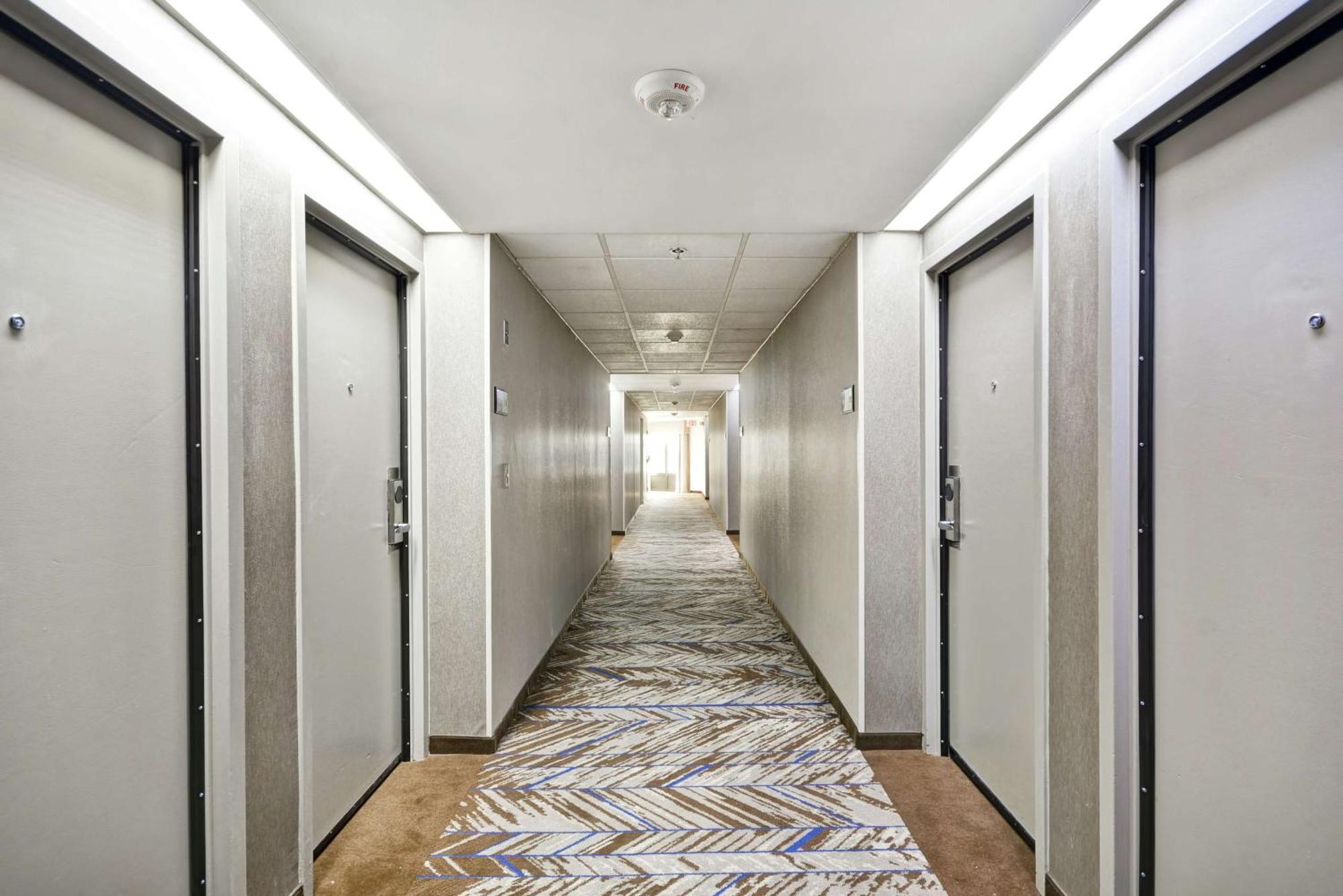Hampton Inn Detroit Madison Heights South Troy Zewnętrze zdjęcie